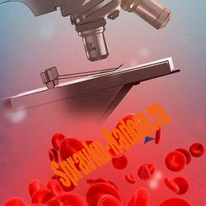 Биохимия крови